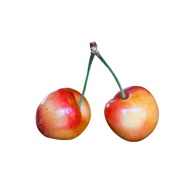 Branch Apple - Imagen 4